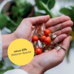 Online-Kurs "Mikronährstoffe, Wildpflanzen & Nahrungsergänzung" SPECIAL