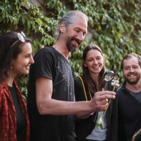 Kräuterwanderin der Naturakademie Matthias